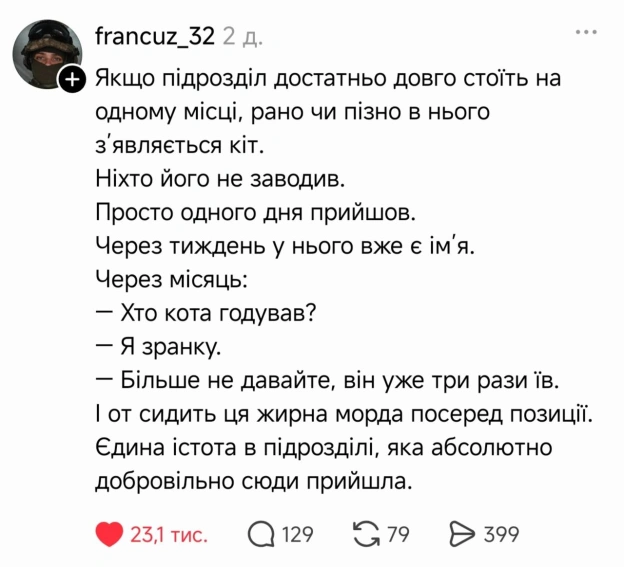 Баба і Кіт на we.ua