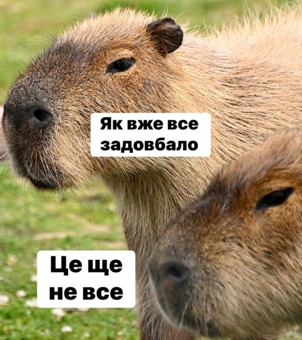 на we.ua