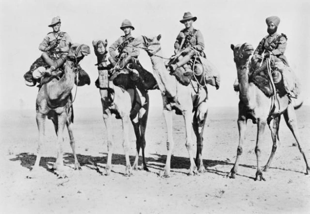 Імперський (британський) верблюжий корпус у 1918 році: на фото бійці австралійського, британського, новозеландського та індійськ... - на we.ua