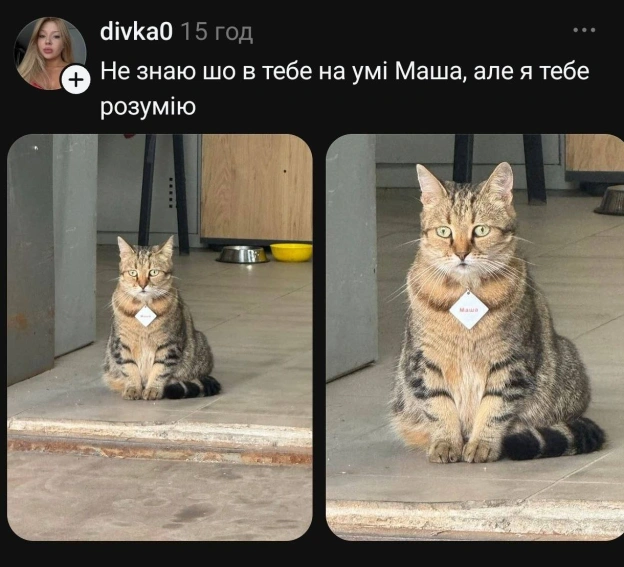 на we.ua