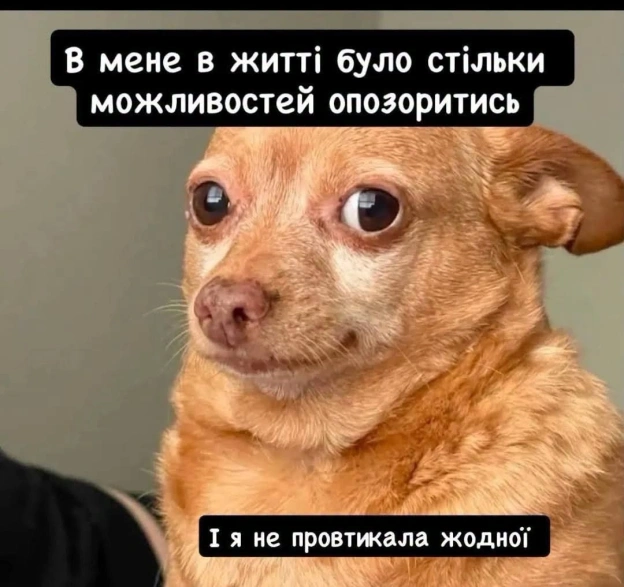 на we.ua