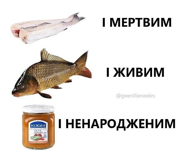 на we.ua