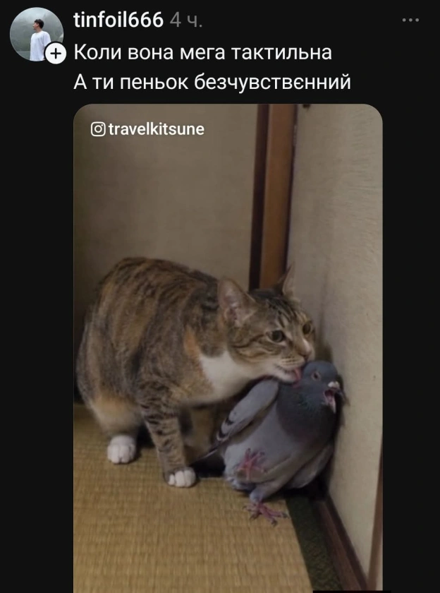 на we.ua