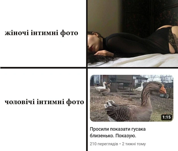 Мем Палата №7 💀 — пацієнт стабільний, гумор на висоті!Дбайливо відібрані мемчики для вашого щоденного настрою. Підтримайте ко... - на we.ua