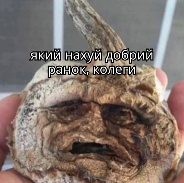 Почалось💀TG | X | FB | Instahttps://instagram.com/wtf_ukr/ - на we.ua