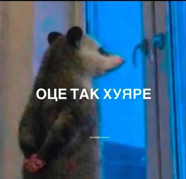 on we.ua