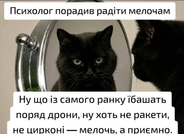 на we.ua