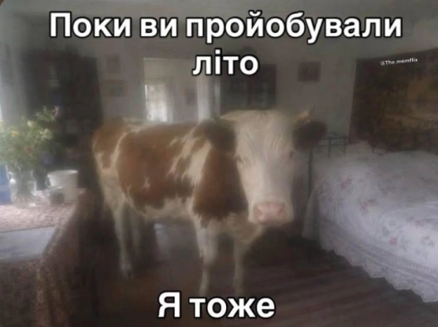 на we.ua