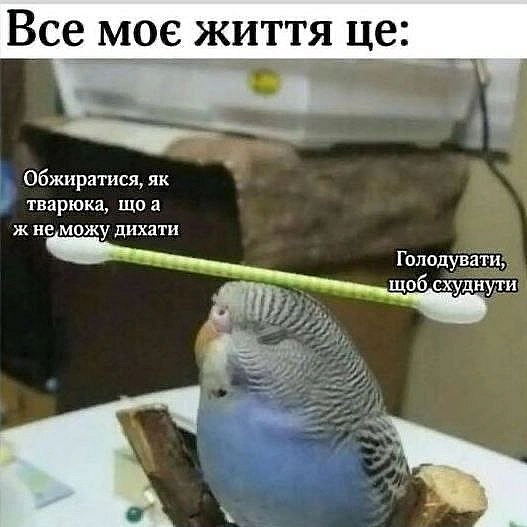 Чорний гумор. Українською. #ЧГУ на we.ua