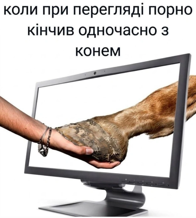 на we.ua