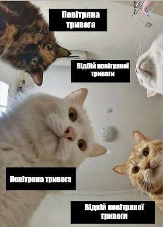 Кияни останній тиждень #хзчиймем@memargam - на we.ua