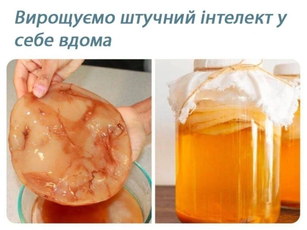 на we.ua