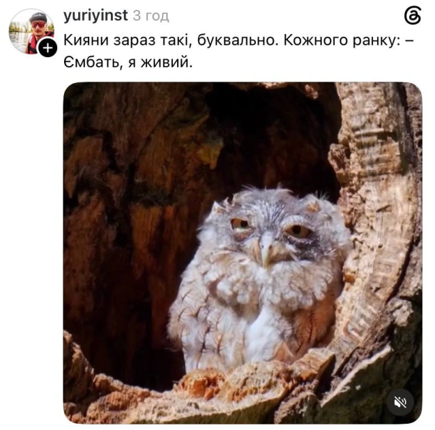 Доброго ранку!@memargam - на we.ua