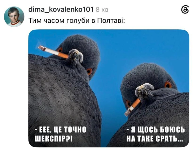 Навіть голуби офігіли@memargam - на we.ua