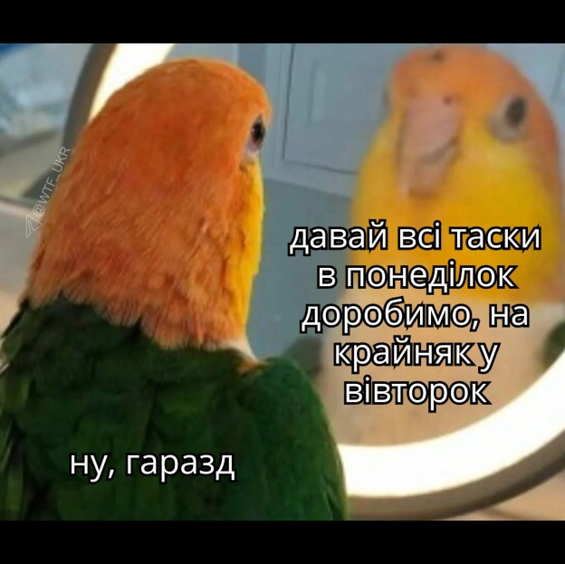 Вмовив, ок💀TG | X | FB | Instahttps://instagram.com/wtf_ukr/ - на we.ua