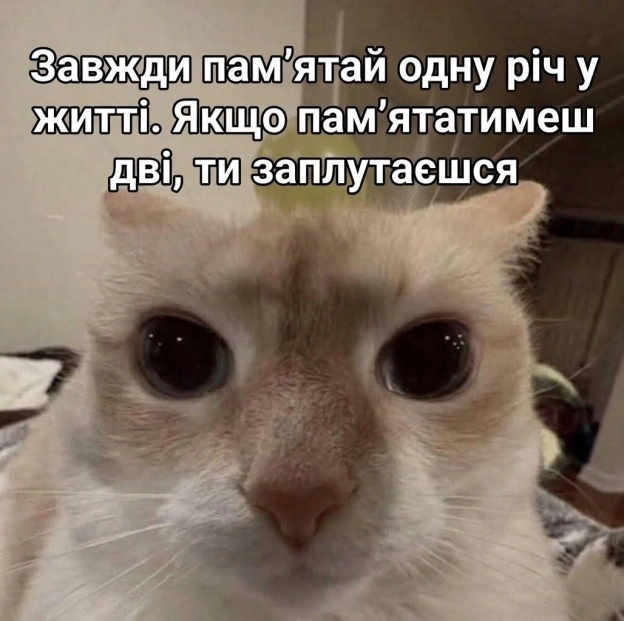 на we.ua