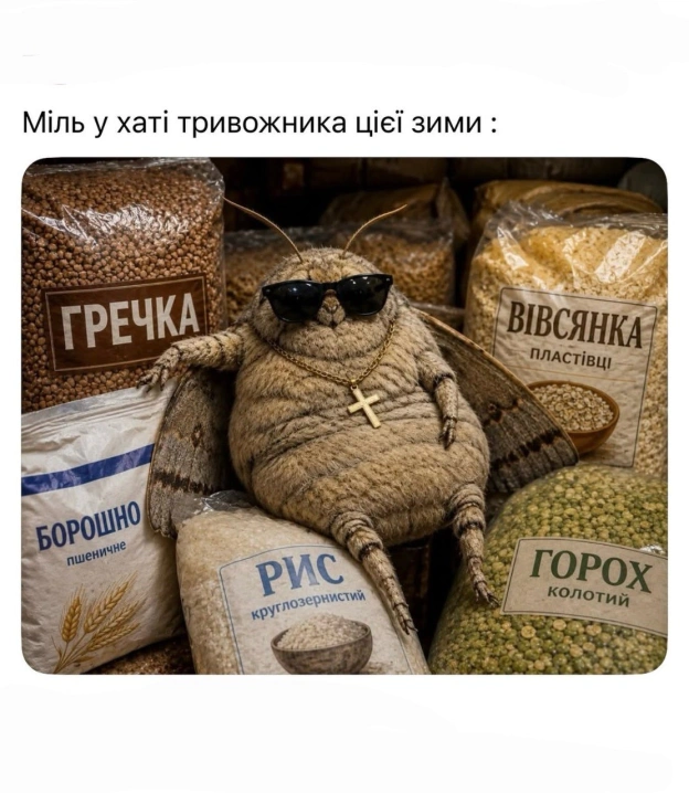 Баба і Кіт на we.ua