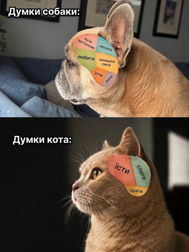 Баба і Кіт на we.ua