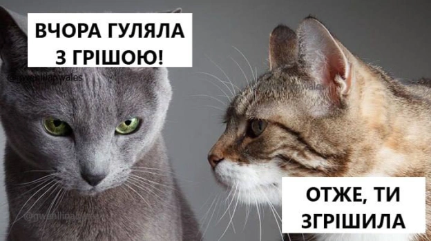 Добраніч!(с) @gwenllianwales@memargam - на we.ua