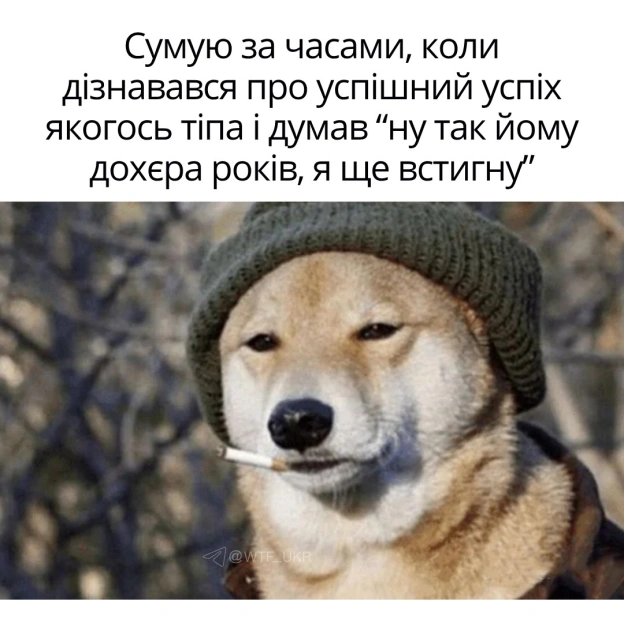 💀TG | X | FB | Instahttps://instagram.com/wtf_ukr/ - на we.ua