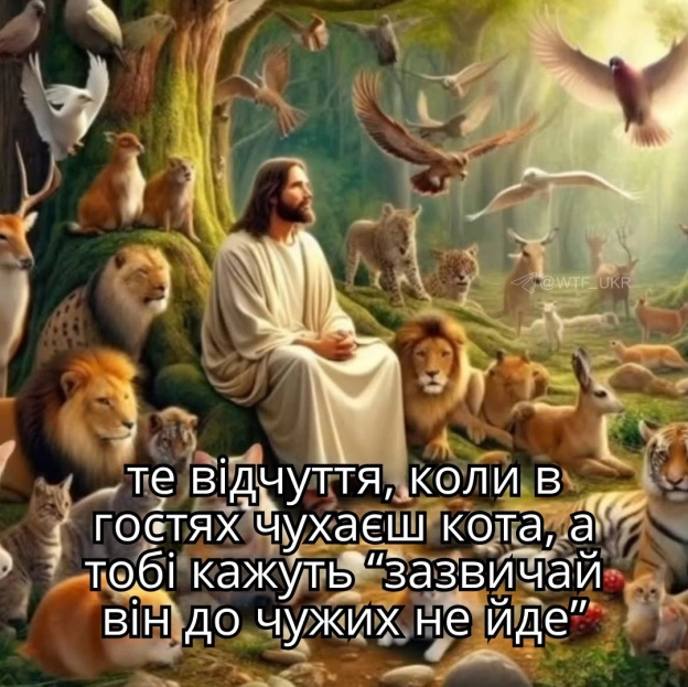 💀TG | X | FB | Instahttps://instagram.com/wtf_ukr/ - на we.ua