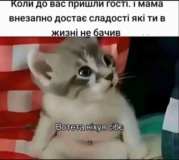 на we.ua