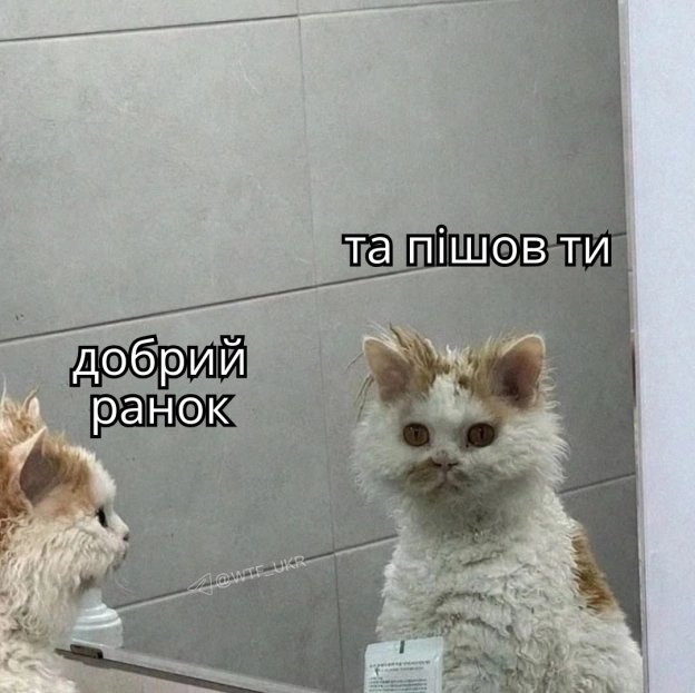 Драсьтє💀TG | X | FB | Instahttps://instagram.com/wtf_ukr/ - на we.ua
