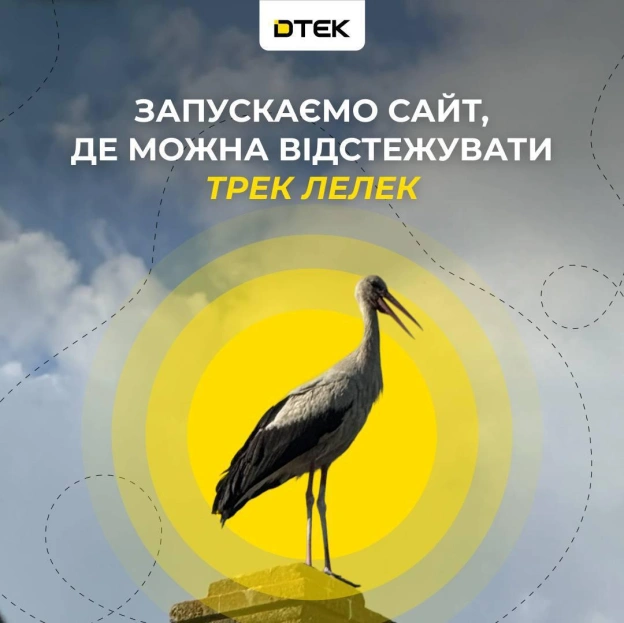 Дивіться, куди і як летять зимувати лелеки! ДТЕК запустив сайт із відстеженням лелечої міграції «Трек Лелек»Тепер на сайті «Тр... - на we.ua