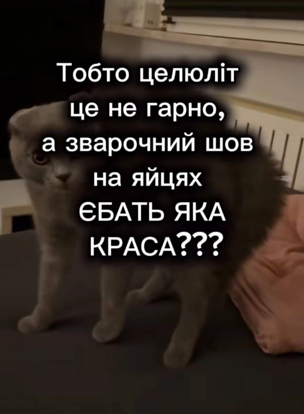 #чгу_цькувальний - на we.ua