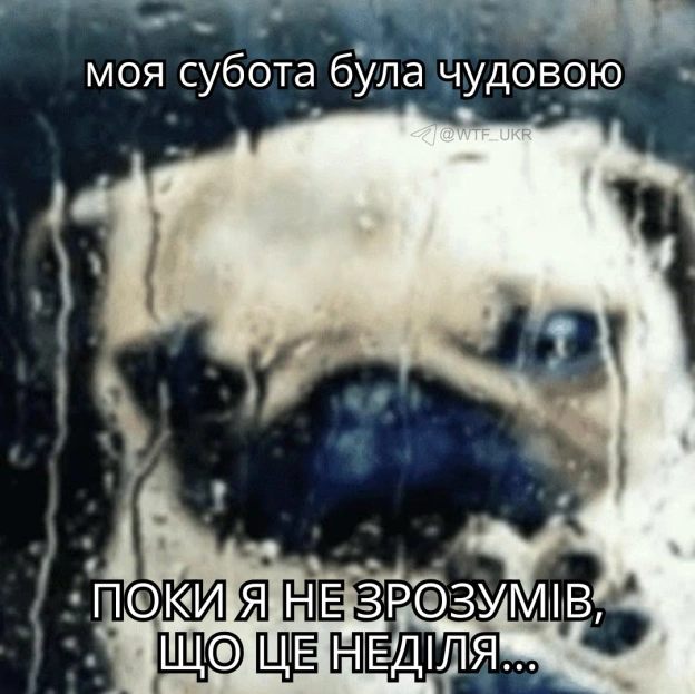 💀TG | X | FB | Instahttps://instagram.com/wtf_ukr/ - на we.ua