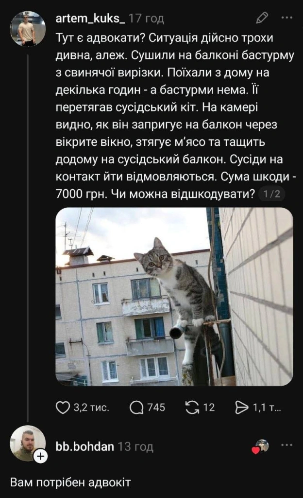 Баба і Кіт on we.ua