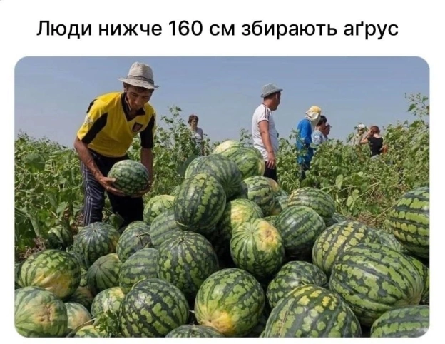 Баба і Кіт on we.ua