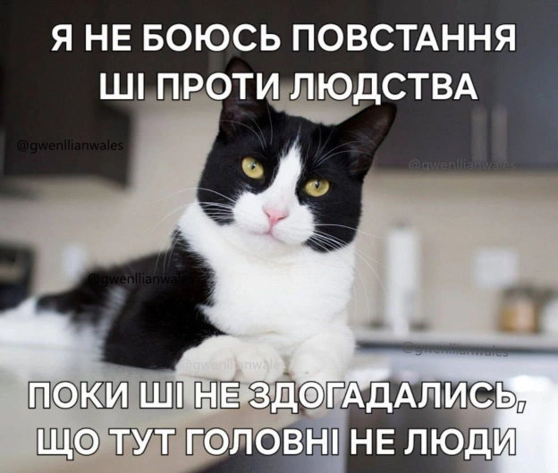 Баба і Кіт on we.ua