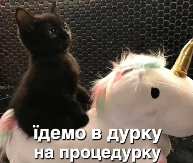 Хто не їде - тому на добраніч! - на we.ua