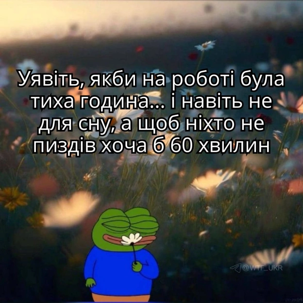💀TG | X | FB | Instahttps://instagram.com/wtf_ukr/ - на we.ua
