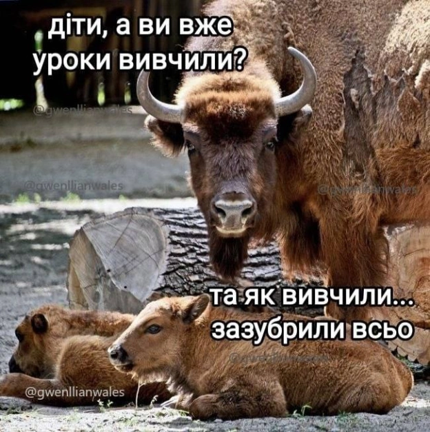 на we.ua