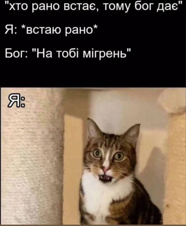 на we.ua