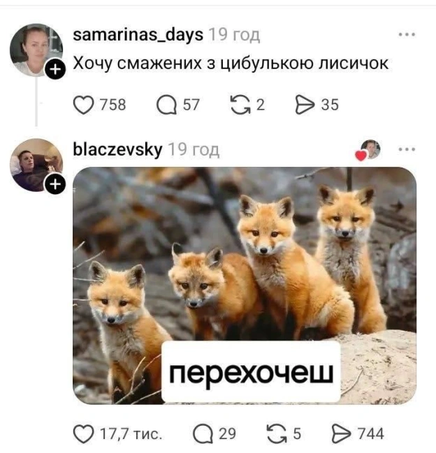 Баба і Кіт на we.ua