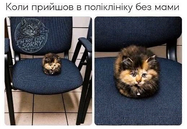 Баба і Кіт на we.ua