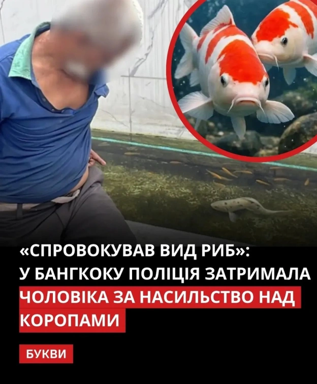 Ці хтиві коропи самі хотіли, щоб їх зґвалтували. Подивіться на їхнє забарвлення - як в прастітуток!Серйозно, мужик сказав, що ... - на we.ua