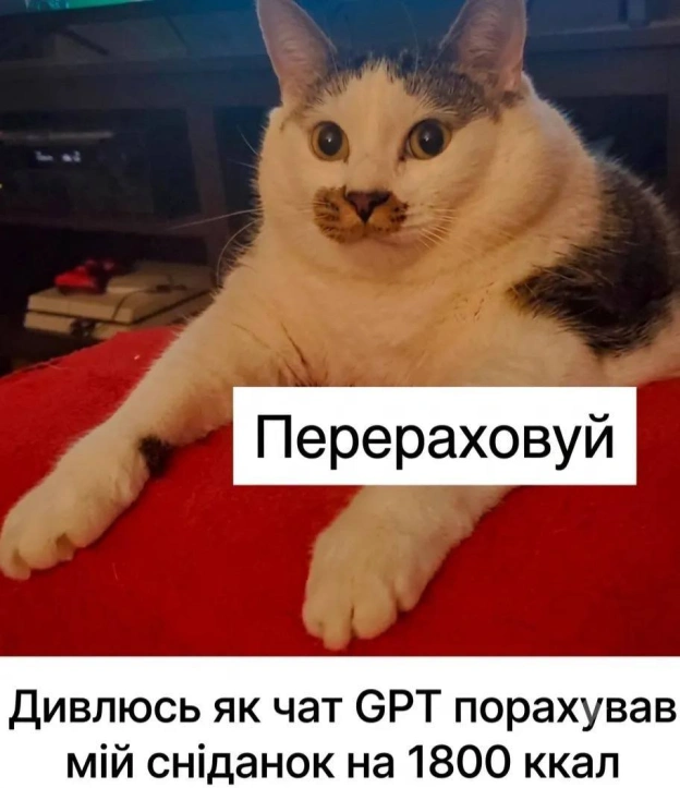 на we.ua