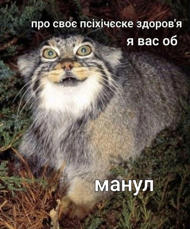 на we.ua