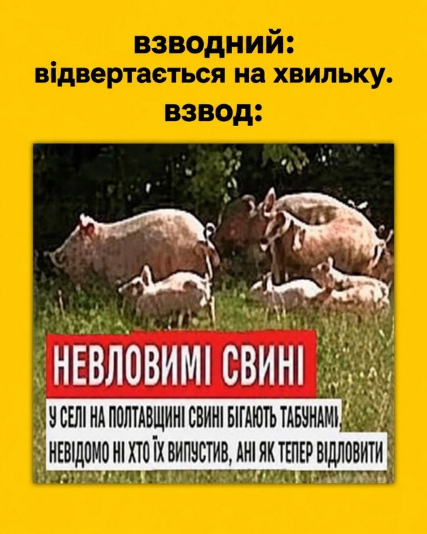 Життє)) - на we.ua