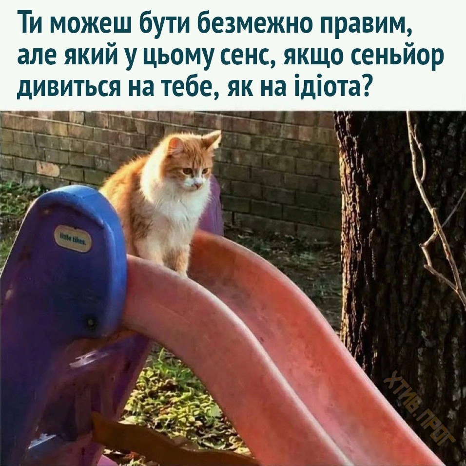 на we.ua