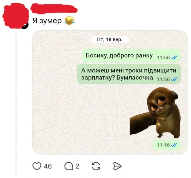 Майстер-клас, як потрібно канючити - на we.ua