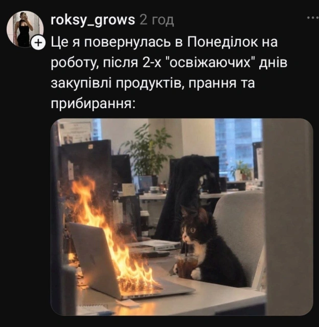 на we.ua