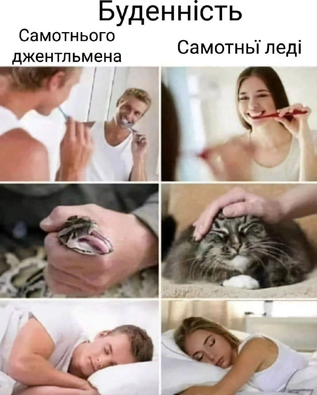Знайдіть 10 відмінностей #хзчиймем@memargam - на we.ua