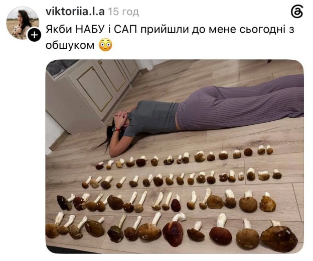 4 жалкіх відра грибів@memargam - на we.ua