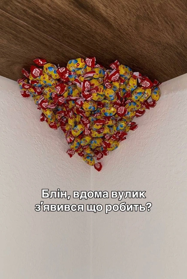 на we.ua