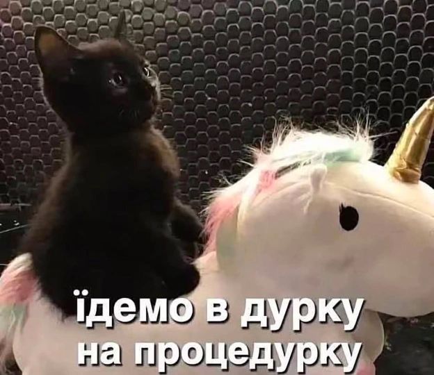 на we.ua